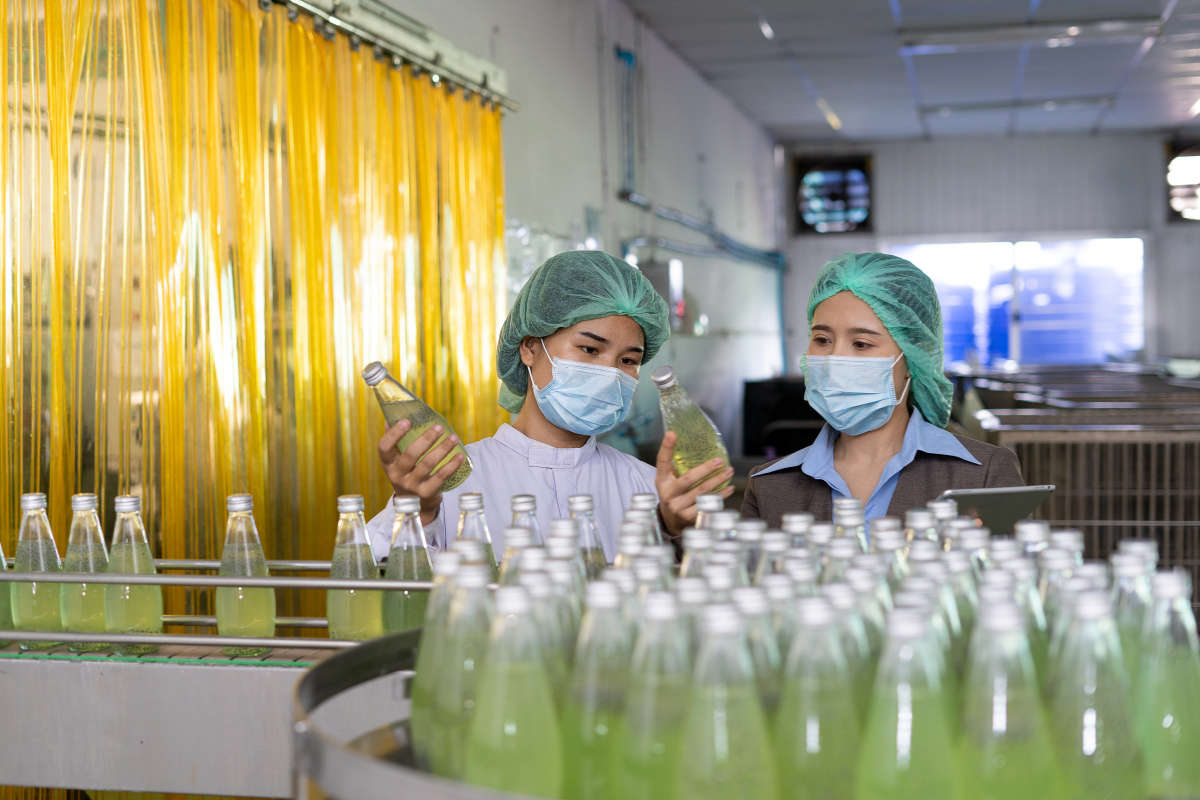 Diseño sin título - 2025-02-25T204907.343